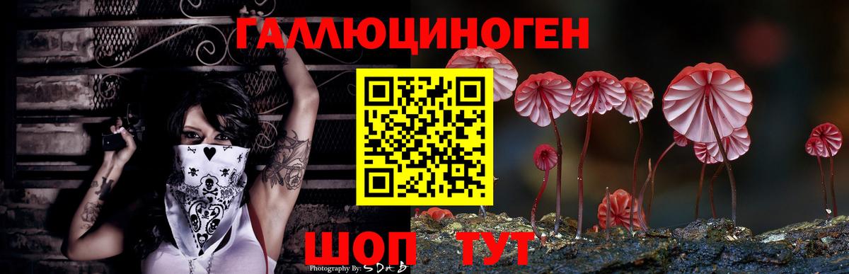 Псилоцибиновые грибы Psilocybine cubensis  Псилоцибиновые грибы Psilocybe  Вход с VPN  Кызыл 